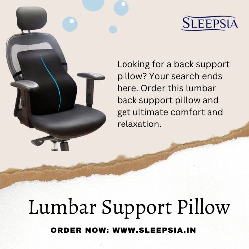 Best Lumbar Support Pillow for Lower Back Pain When&nbsp;Sitting